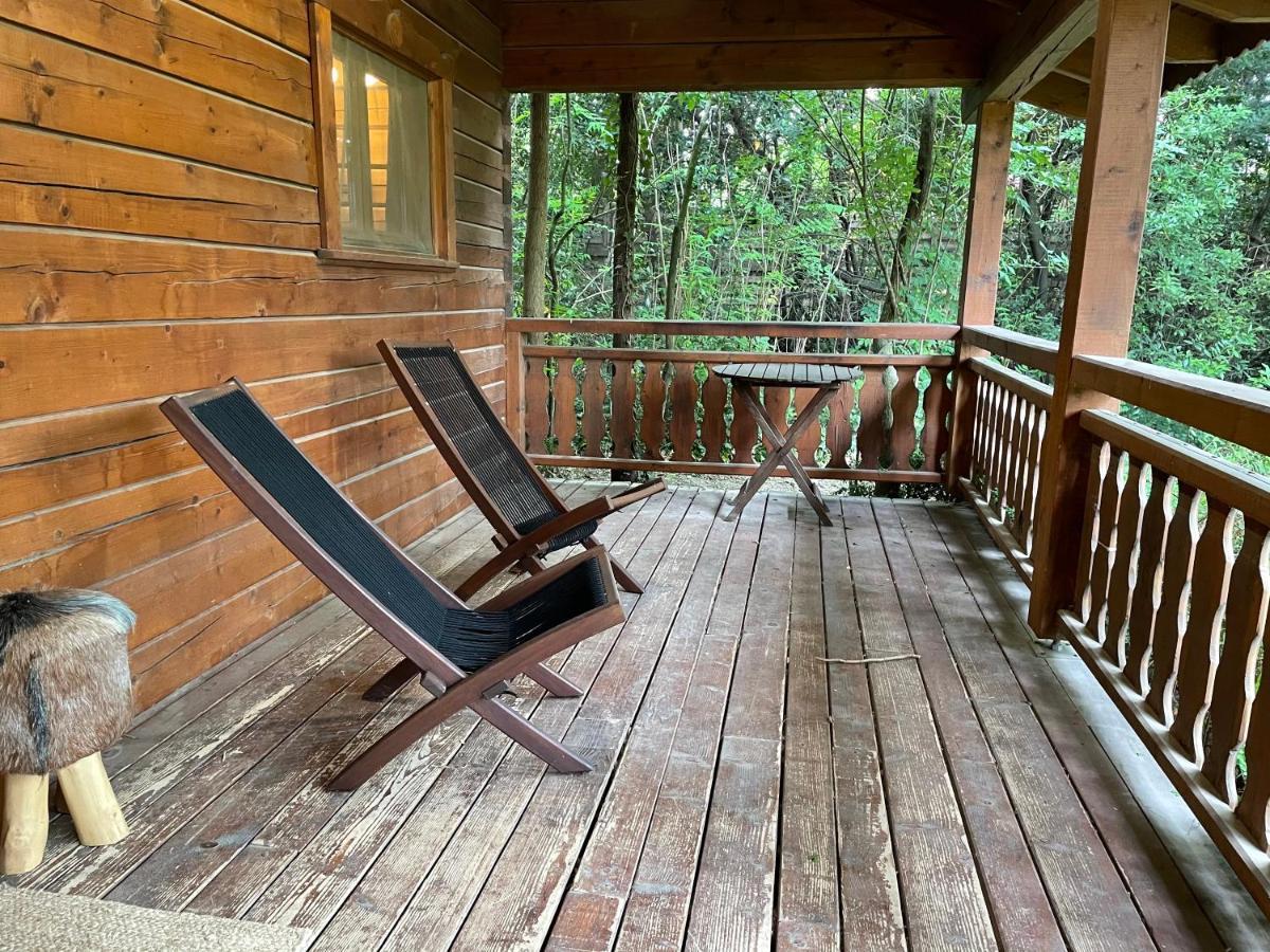 Bastidette Florestane Saint-Remy-de-Provence Ngoại thất bức ảnh