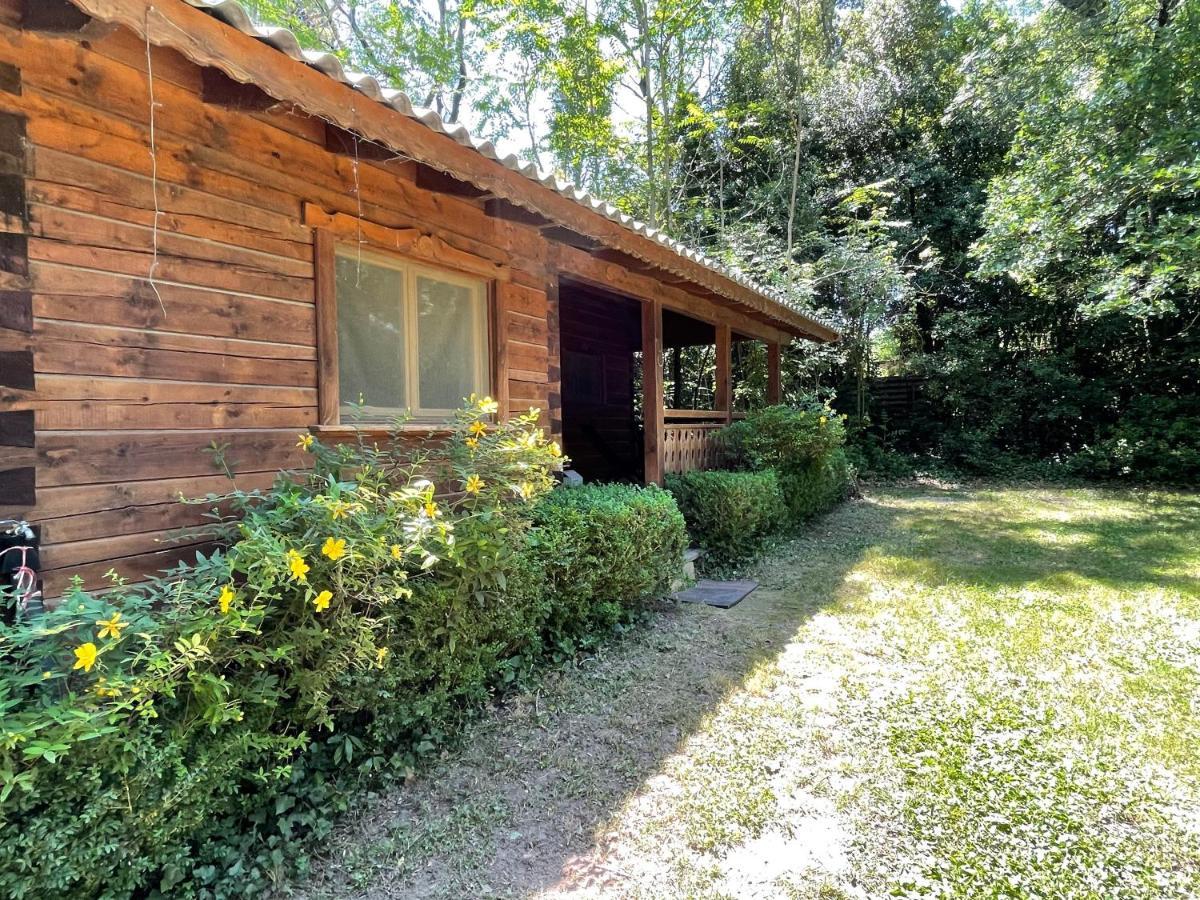 Bastidette Florestane Saint-Remy-de-Provence Ngoại thất bức ảnh