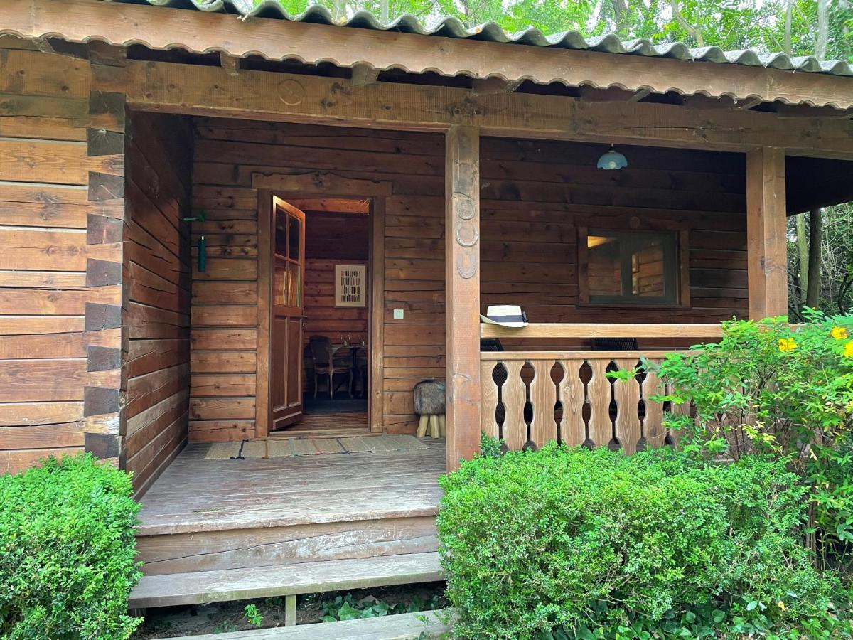 Bastidette Florestane Saint-Remy-de-Provence Ngoại thất bức ảnh