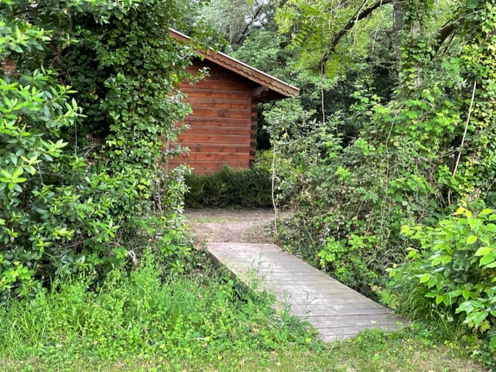 Bastidette Florestane Saint-Remy-de-Provence Ngoại thất bức ảnh