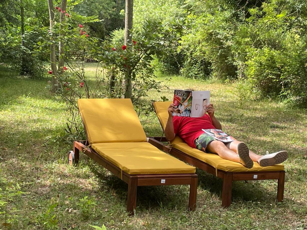 Bastidette Florestane Saint-Remy-de-Provence Ngoại thất bức ảnh