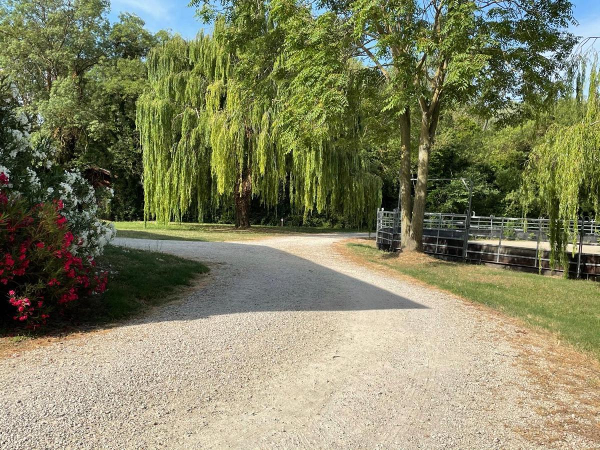 Bastidette Florestane Saint-Remy-de-Provence Ngoại thất bức ảnh